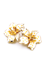 Load image into Gallery viewer, ORCHIDS WHITE